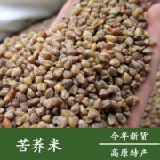 苦荞米做饭和煮粥的做法